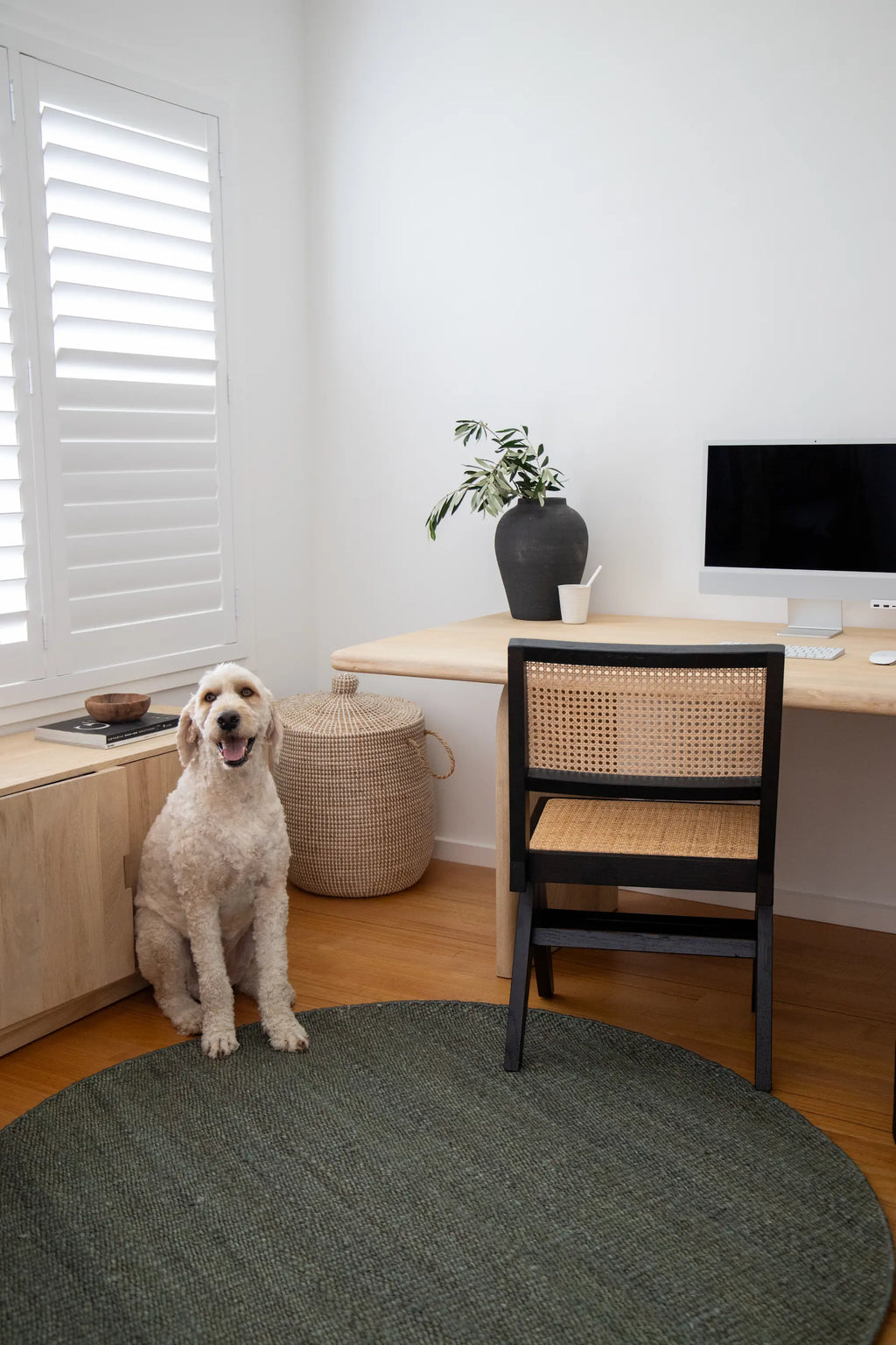 Dharana Jute Round Rug in Olive