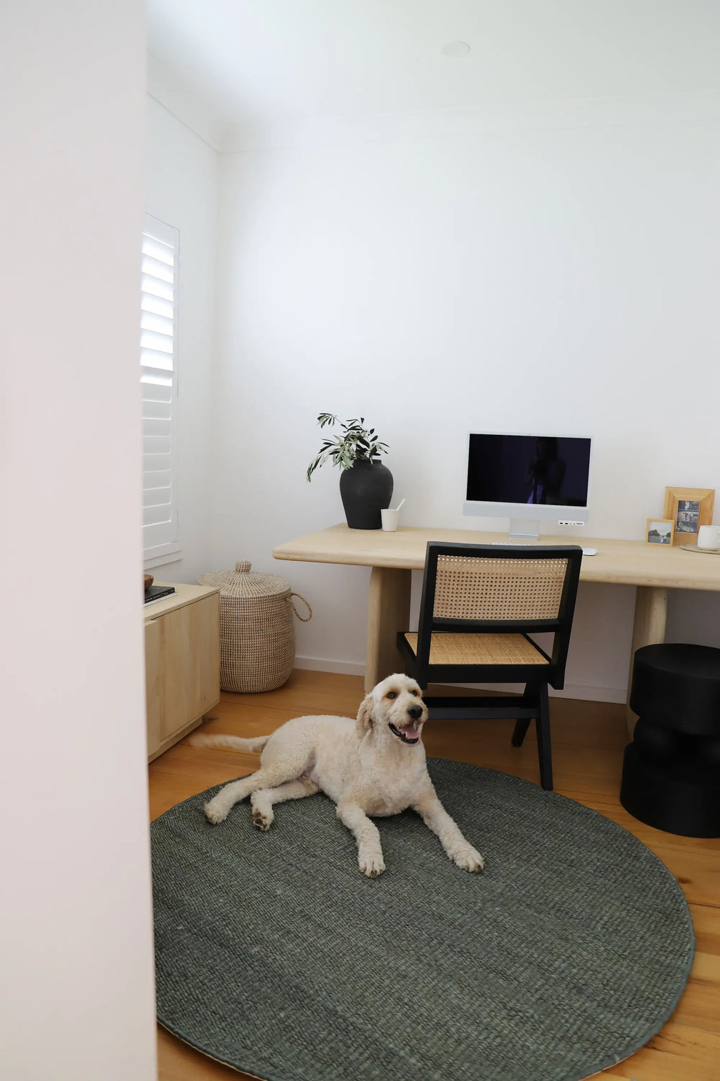 Dharana Jute Round Rug in Olive