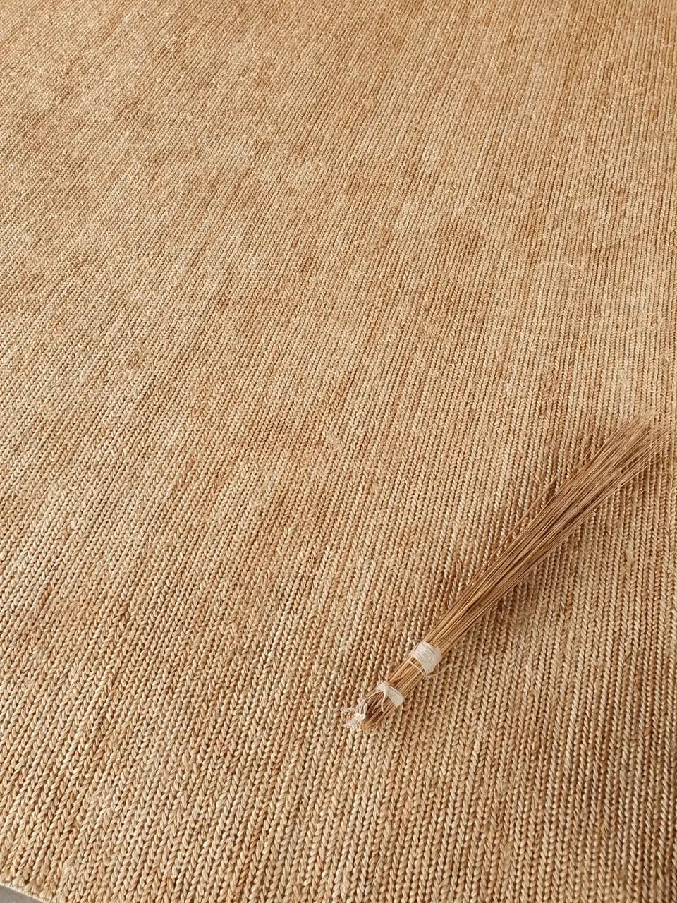 Dharma Braided Jute Rug in Natural